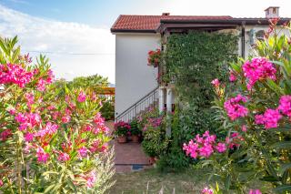 Apartmani Strott - 5