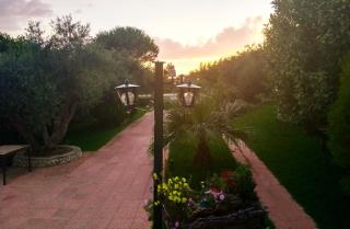 Theocharis Paradise - 3