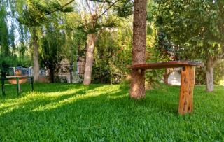 Theocharis Paradise - 2