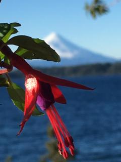 Cabañas Puerto Chalhuaco - Puerto Varas - 2