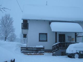 Apartments with a parking space Smoljanac, Plitvice - 11334 - 4