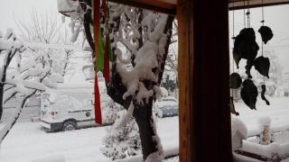 Carpe diem - San Martín de los Andes - 0