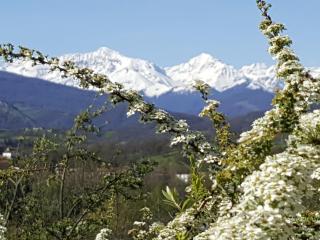 Chambres d'hôtes St Jacques Adults only - Saint-Lizier - 8