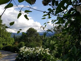 Chambres d'hôtes St Jacques Adults only - Saint-Lizier - 9