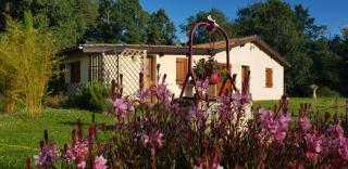 Gîte Ti-Case - Bussac-Forêt - 0