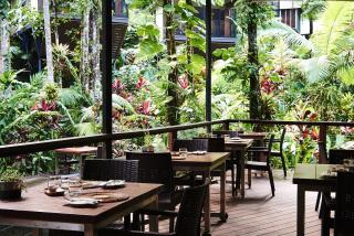 Daintree Ecolodge - Daintree - 6