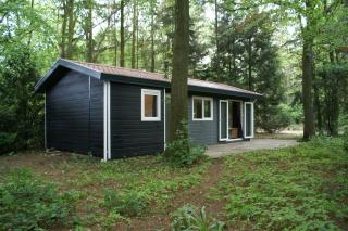 t'Bakkersboschje nummer 11 - Putten - 8