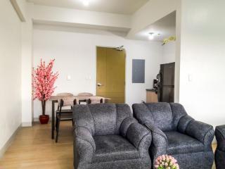 Titan 2011 Condo at The Levels Alabang - 2