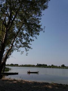 Mikin dol Baranja Country house - Draž - 6