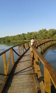 Mikin dol Baranja Country house - 4