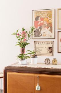 La Casa delle Zie - 5