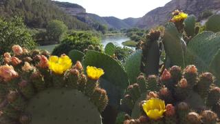 Casa Rural Rio Jucar - 6