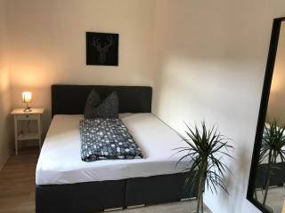 Citywohnungen Halle Saale - 1