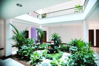 Pattara Place - Chiang Mai - 6