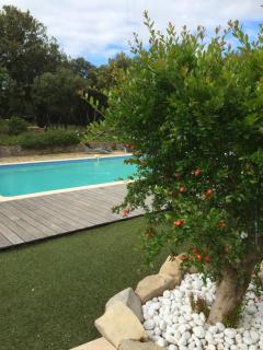 B&B Le Mas Des Chenes - Vacquières - 5