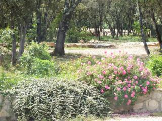 B&B Le Mas Des Chenes - 5