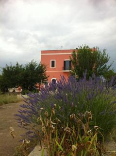 B&B Coccio Pesto - 9