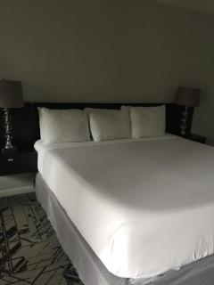 Midtown Hotel New Orleans - New Orleans - 6