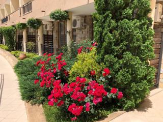 VP Luxor Studio - Sveti Vlas - 8