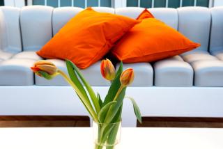 Fiordaliso Hotel - San Felice Circeo - 5