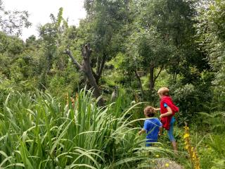 Boutique Vintage Forest Cabin - Stormsrivier - 4