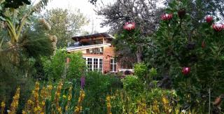 Boutique Vintage Forest Cabin - Stormsrivier - 2