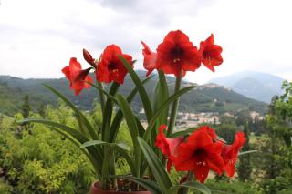Il Castello sul Lago - Arrone - 3