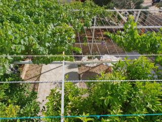 Apartments Estera - Makarska - 0