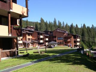 Multiproprietà Rio Falzè - Madonna di Campiglio - 3