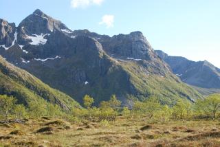 Haugteig - Lyngværet - 4