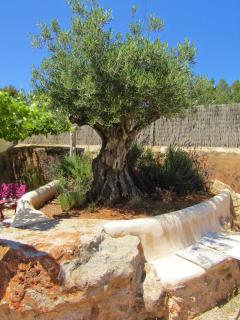 Hotel Rural Can Partit - Adults Only - Santa Inés - 7