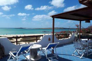 BookingBoavista - Apartments - Sal Rei - 9