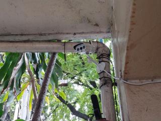 Prasuri Guest House - Bangkok - 4