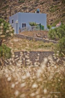 Potideon Villa - Karpathos - 3