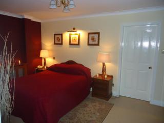 Templemore Arms Hotel - Templemore - 5