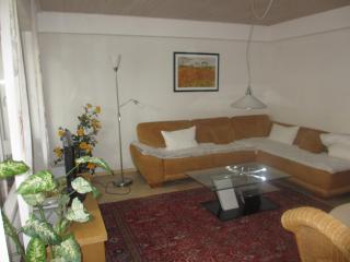 Im Zentrum Hebelhof 2 Zi. - Fribourg-en-Brisgau - 9