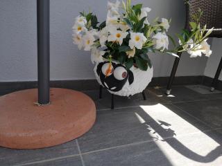 Apartman ABC - Šibenik - 3