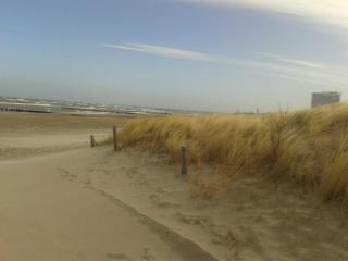 Ferienwohnungen - Warnemünde - Objekt 89523 - Warnemünde - 7