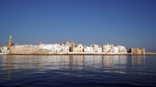 Casetta San Domenico apartment - Monopoli - 7