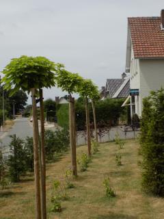 Villa Mooi Maasland - Maaseik - 3