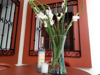 Casa Agave Oaxaca - 9