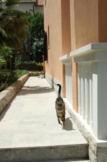 Apartment Ute - Mali Lošinj - 2