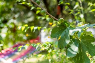 City View Apartment - Mostar - 7
