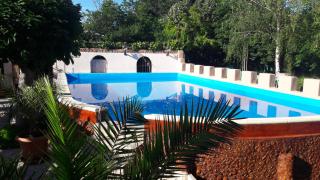 Hotel Angy - Golden Sands - 8