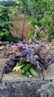 Guest House Roza - 6