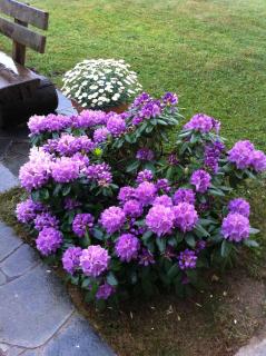 Naturresidenz Kropfitsch - 3