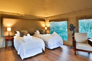 Tangala Safari Camp - Reserva de Caça Thornybush - 6