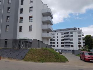 Apartament Nito Centrum - Gorzów Wielkopolski - 6