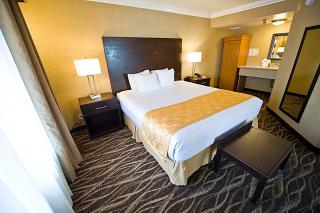 Hotel d'Lins Ontario Airport - 1