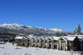 The St James Premium Accommodation - Hanmer Springs - 8